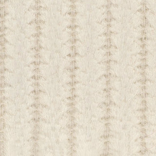 Solid Cotton Elephant Corduroy A005308