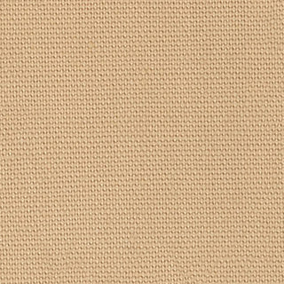 Solid Lyocell Cotton Broadcloth Poplin A009327