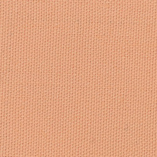 Solid Lyocell Cotton Broadcloth Poplin A009327