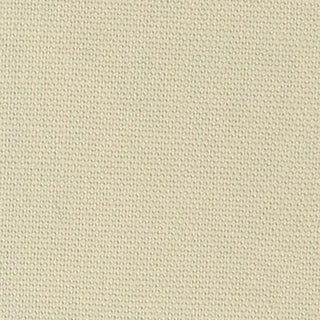 Solid Lyocell Cotton Broadcloth Poplin A009327