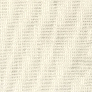 Solid Lyocell Cotton Broadcloth Poplin A009327