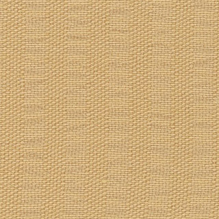 Solid Stretch Lyocell Nylon Seersucker A009321