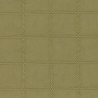 Solid Crinkled DWR Nylon Ripstop Taslan A033515