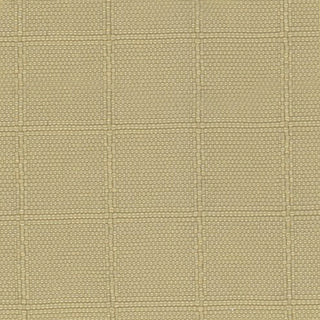 Solid Crinkled DWR Nylon Ripstop Taslan A033515