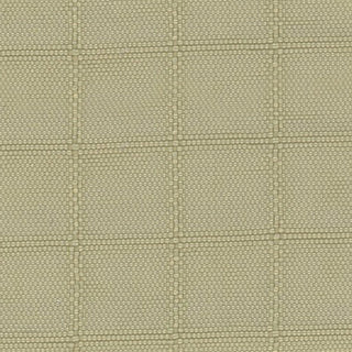 Solid Crinkled DWR Nylon Ripstop Taslan A033515