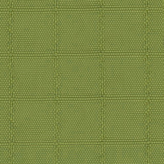 Solid Crinkled DWR Nylon Ripstop Taslan A033515