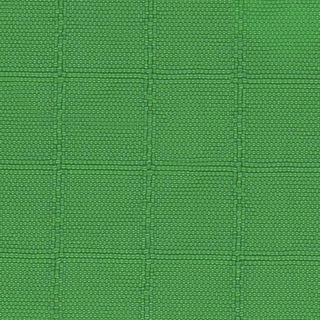 Solid Crinkled DWR Nylon Ripstop Taslan A033515