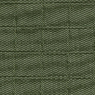 Solid Crinkled DWR Nylon Ripstop Taslan A033515