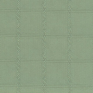 Solid Crinkled DWR Nylon Ripstop Taslan A033515