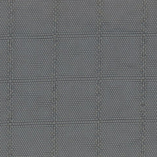 Solid Crinkled DWR Nylon Ripstop Taslan A033515