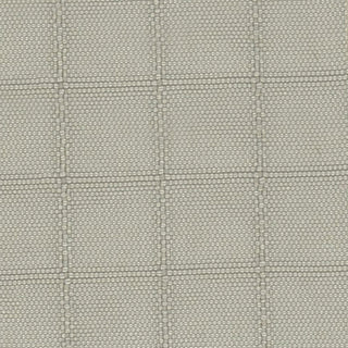 Solid Crinkled DWR Nylon Ripstop Taslan A033515