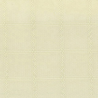 Solid Crinkled DWR Nylon Ripstop Taslan A033515