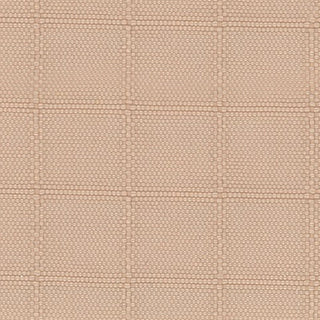 Solid Crinkled DWR Nylon Ripstop Taslan A033515