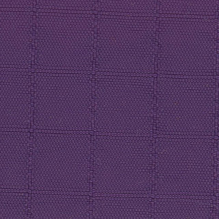 Solid Crinkled DWR Nylon Ripstop Taslan A033515