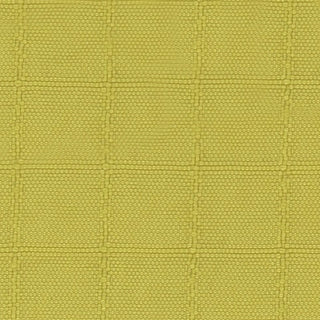 Solid Crinkled DWR Nylon Ripstop Taslan A033515