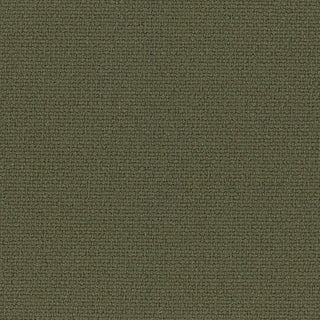 Solid Stretch C0 DWR (PFC-Free) Polyester Performance Woven A033518