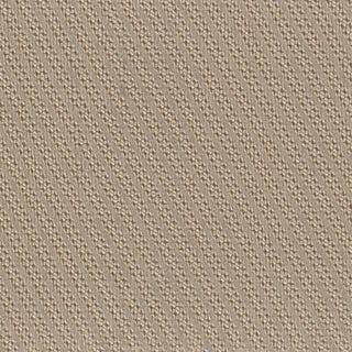 Solid Lyocell Twill A102303