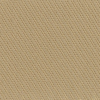 Solid Lyocell Twill A102303