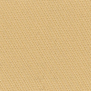 Solid Lyocell Twill A102303