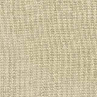 Solid Lyocell Challis A102304