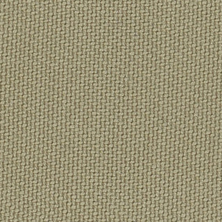 Solid Lyocell Twill A102315