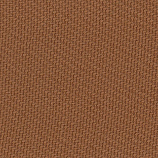 Solid Lyocell Twill A102315