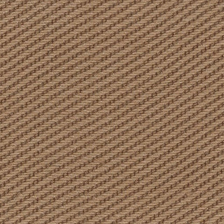 Solid Lyocell Twill A102315