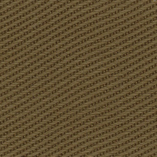 Solid Lyocell Twill A102315