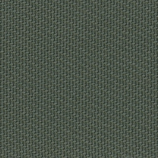 Solid Lyocell Twill A102315