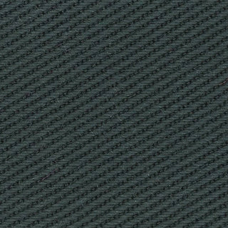 Solid Lyocell Twill A102315