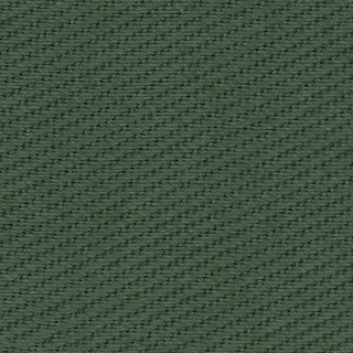 Solid Lyocell Twill A102315