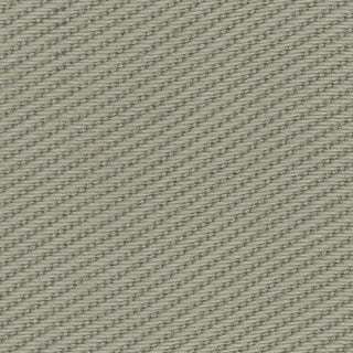 Solid Lyocell Twill A102315