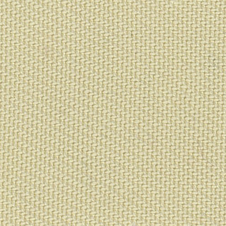 Solid Lyocell Twill A102315