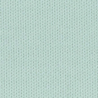 Solid Stretch Liquid Ammonia Mercerized Pima Cotton Double Knit / Interlock A106309