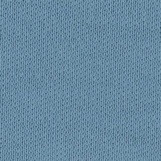 Solid Stretch Liquid Ammonia Mercerized Pima Cotton Double Knit / Interlock A106309