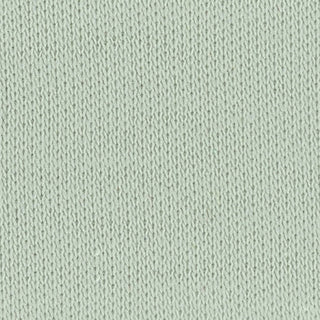 Solid Stretch Liquid Ammonia Mercerized Pima Cotton Double Knit / Interlock A106309