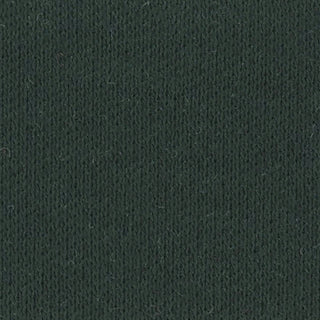 Solid Stretch Liquid Ammonia Mercerized Pima Cotton Double Knit / Interlock A106309