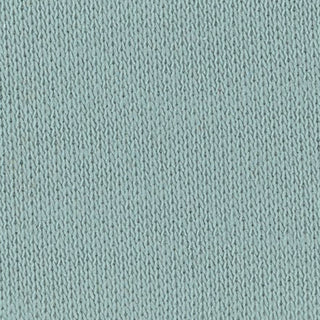 Solid Stretch Liquid Ammonia Mercerized Pima Cotton Double Knit / Interlock A106309