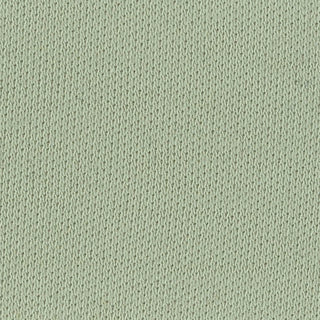 Solid Stretch Mercerized Supima® Cotton Double Knit / Interlock A107302