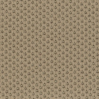 Solid Stretch Combed Cotton Sorona® Pique A107304