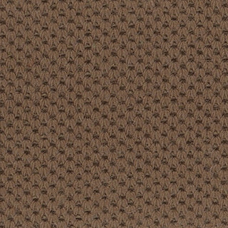 Solid Stretch Combed Cotton Sorona® Pique A107304