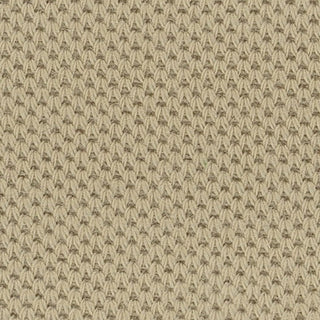 Solid Stretch Combed Cotton Sorona® Pique A107304