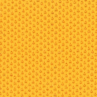 Solid Stretch Combed Cotton Sorona® Pique A107304