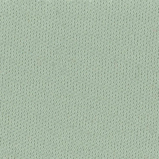 Solid Stretch Liquid Ammonia Mercerized Supima® Cotton Double Knit A107431