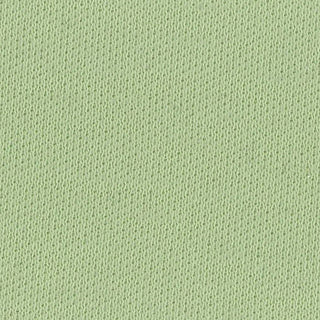 Solid Stretch Liquid Ammonia Mercerized Supima® Cotton Double Knit A107431