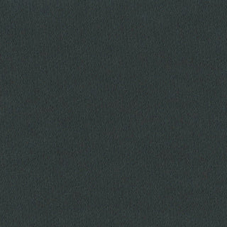 Solid Stretch Liquid Ammonia Mercerized Supima® Cotton Double Knit A1M6501