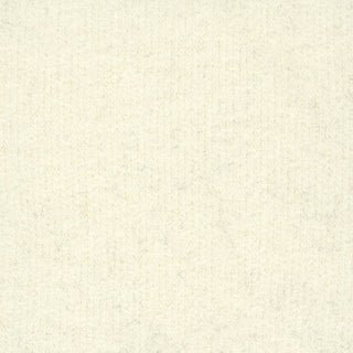 Solid Stretch Ultra Soft Double Brushed Viscose Lyocell Thermal Knit A1M6504