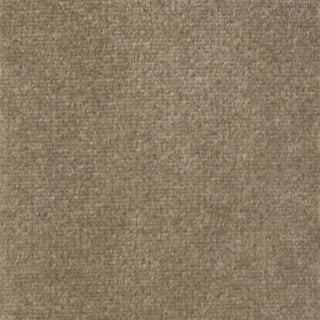 Solid Stretch Ultra Soft Polyester Velour B009301