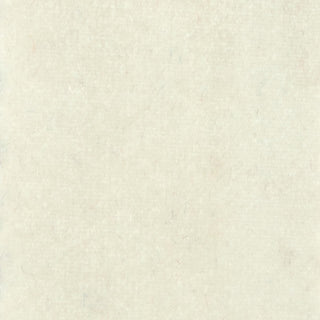 Solid Stretch Ultra Soft Polyester Velour B009301