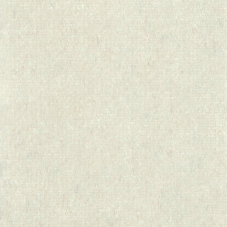 Solid Stretch Ultra Soft Polyester Velour B009301